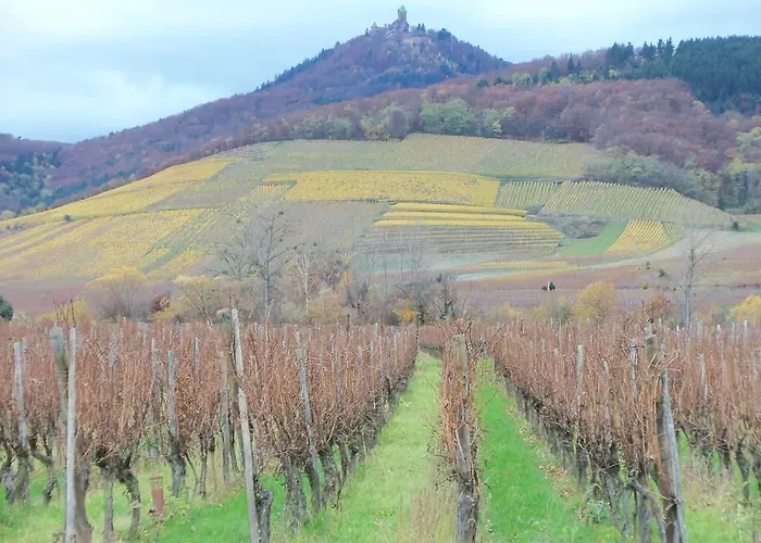 Apartment Route Du Vin Centre Alsace