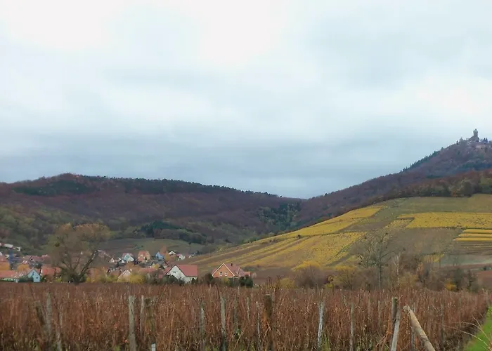 Apartment Route du Vin Centre Alsace