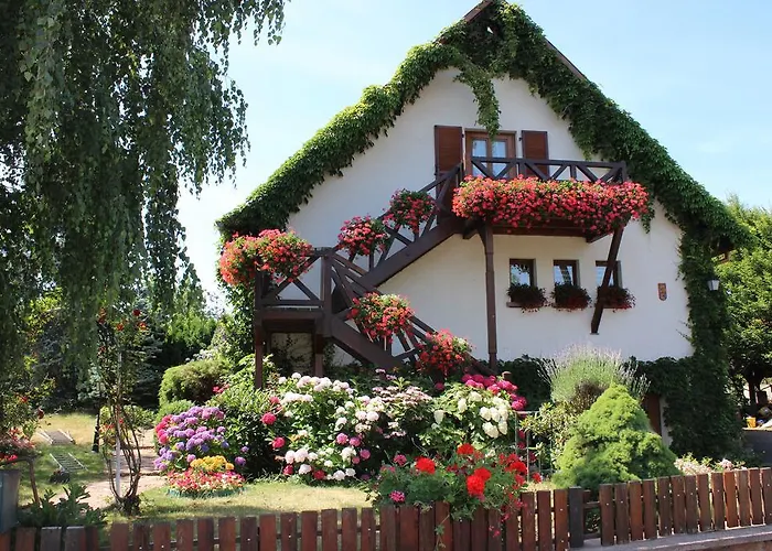 Apartment Route Du Vin Centre Alsace