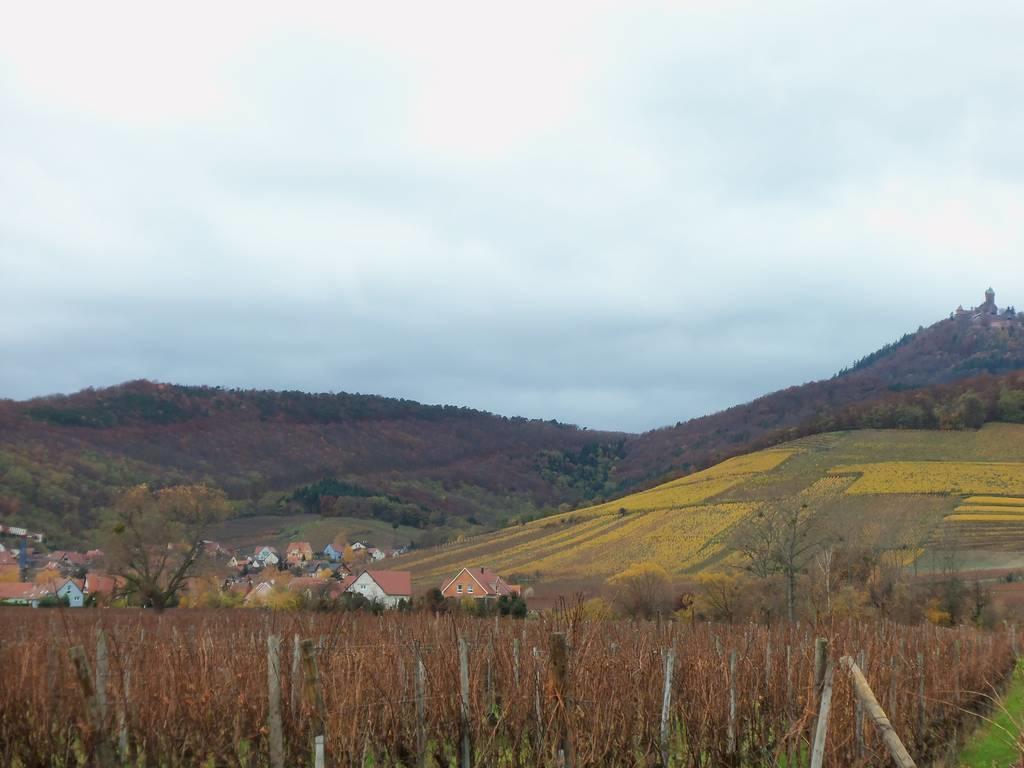Appartement Route Du Vin Centre Alsace Orschwiller