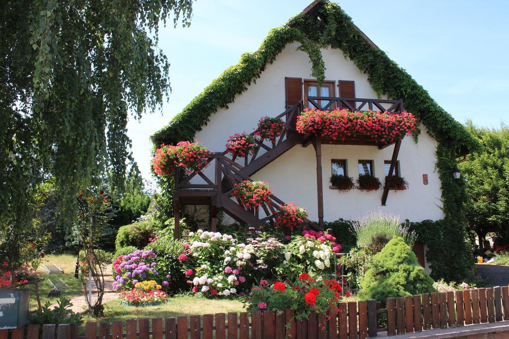 Route Du Vin Centre Alsace