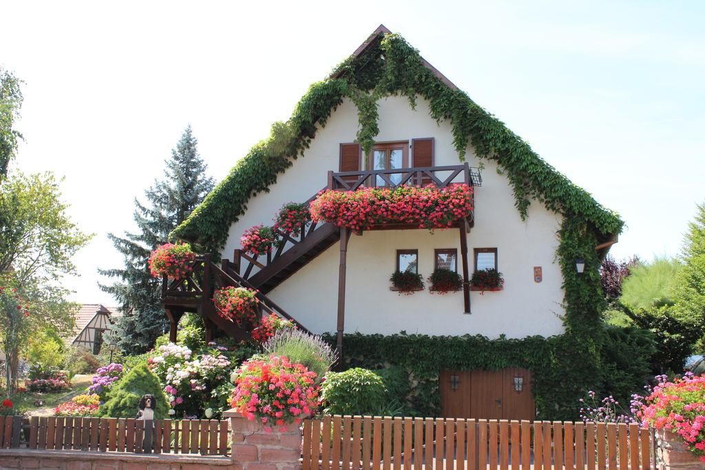 Apartment Route Du Vin Centre Alsace *